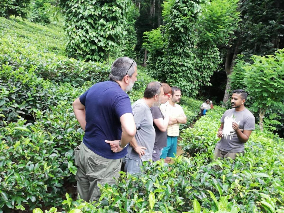Tea Heights Hotel Kandy Exterior photo